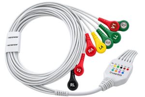 12 Lead ECG