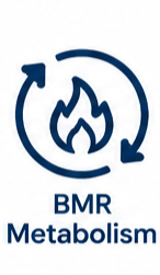 BMR Metabolism Icon