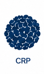 CRP Icon