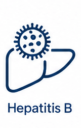 Hepatitis B Icon