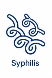 Syphilis Icon