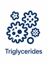 Triglycerides Icon