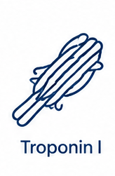 Troponin I Icon