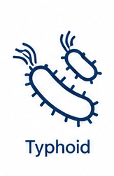 Typhoid Icon