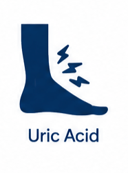 Uric Acid Icon