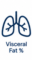 Visceral Fat Icon